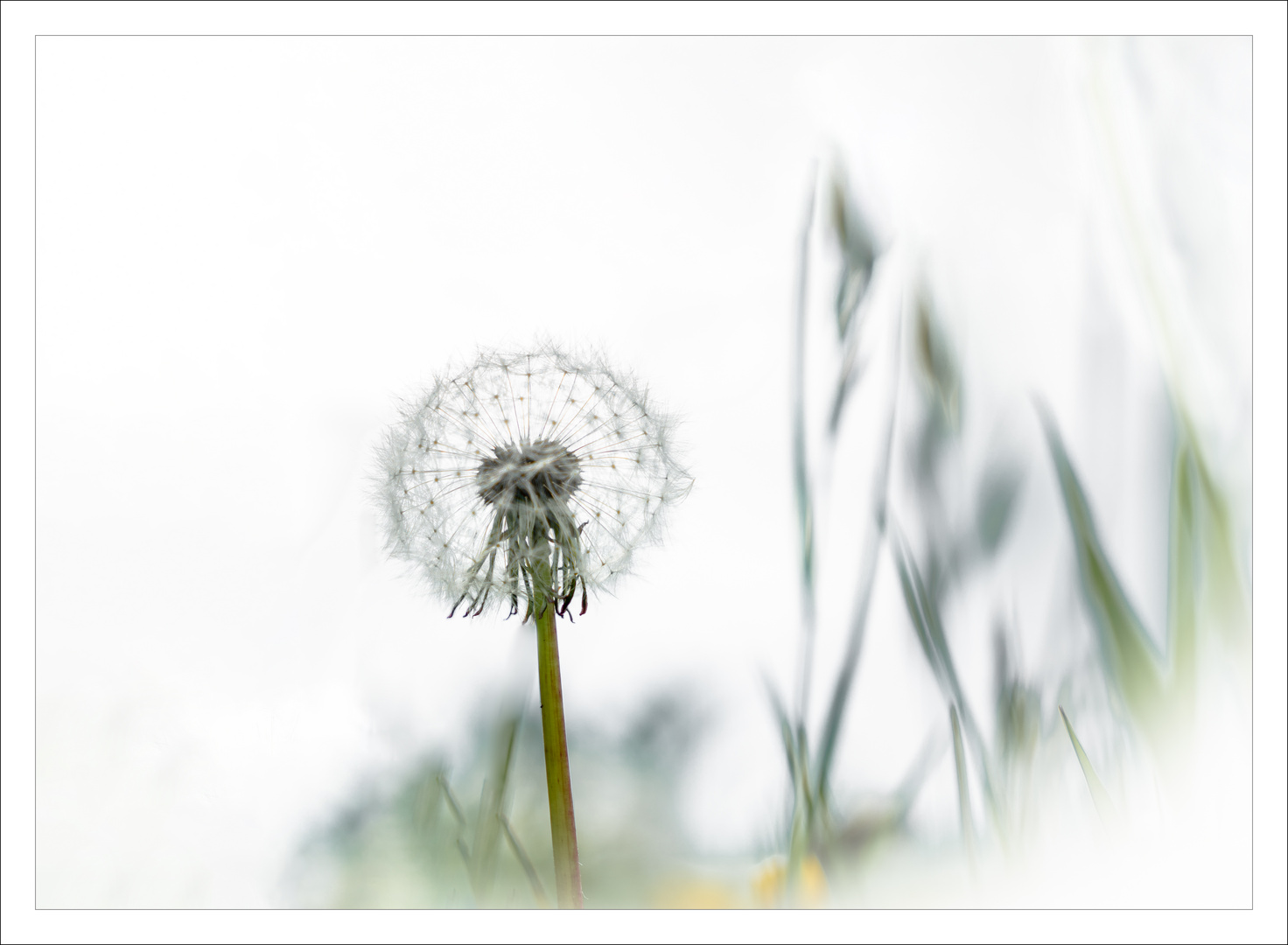 Warten auf den Wind