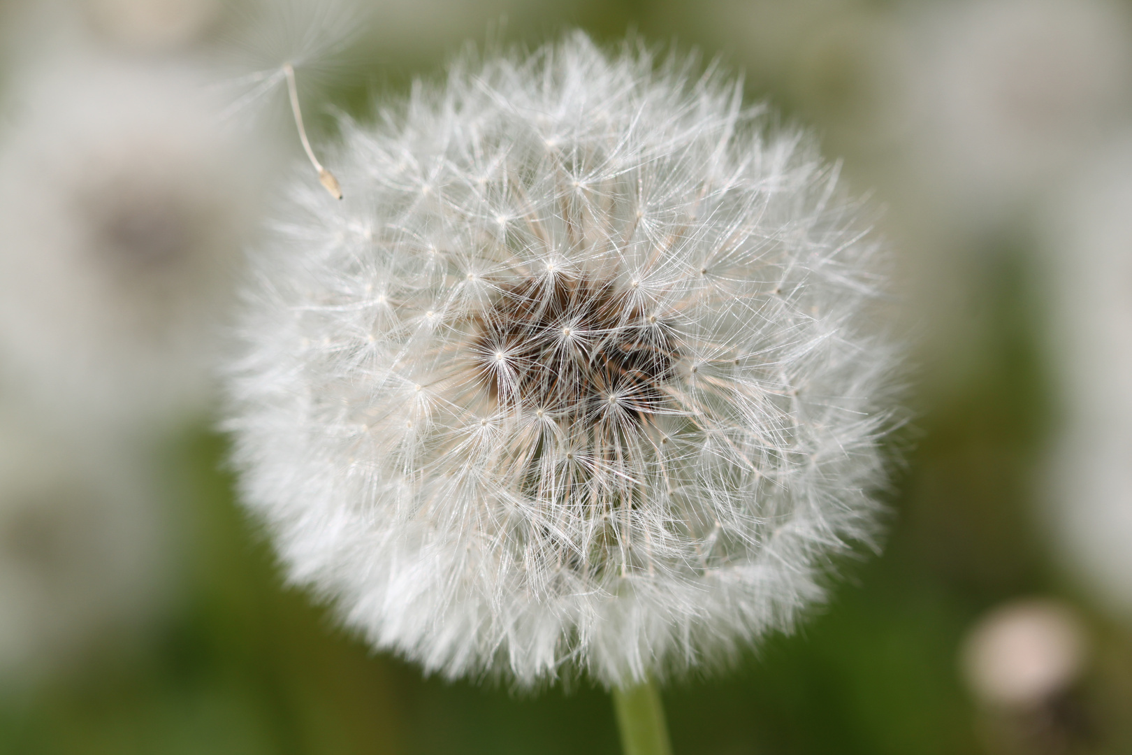 Warten auf den Wind