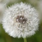 Warten auf den Wind