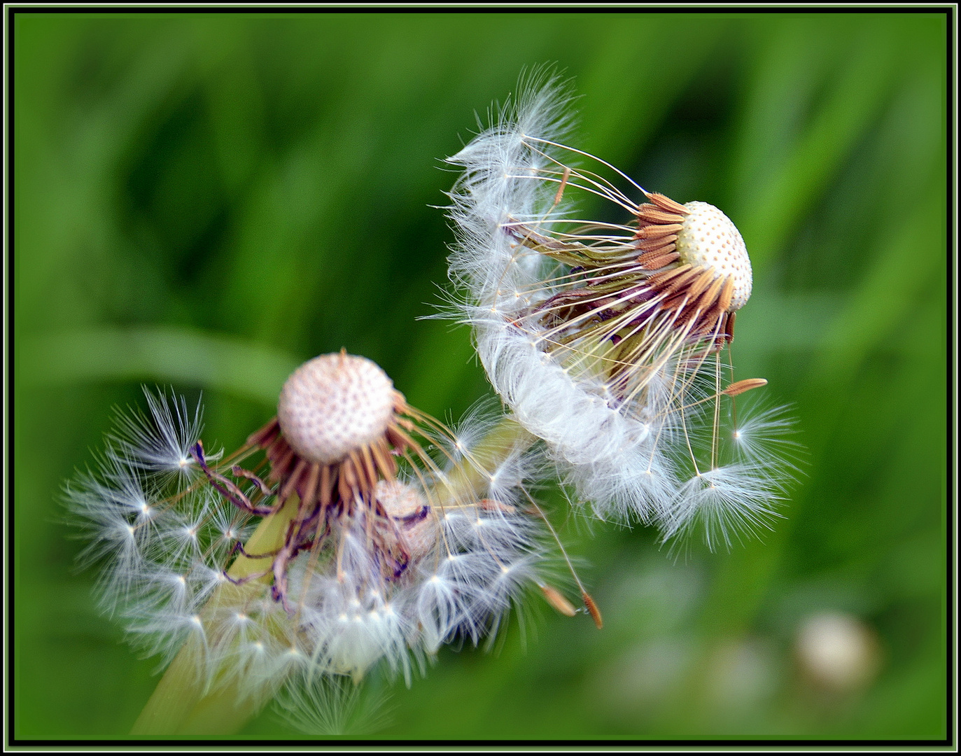 Warten auf den Wind