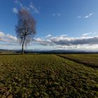 Warten auf den Winter