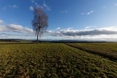 Warten auf den Winter