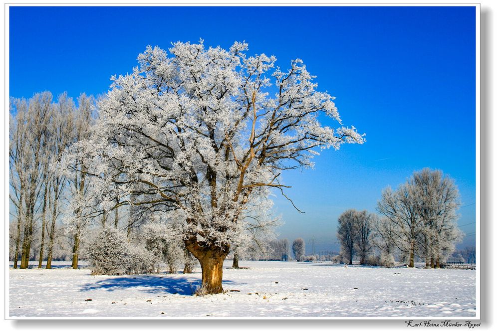 Warten auf den Winter.....