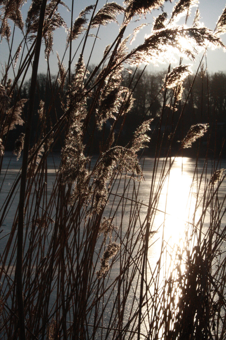 warten auf den Winter ...´11