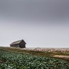 Warten auf den Winter