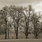 Warten auf den Winter