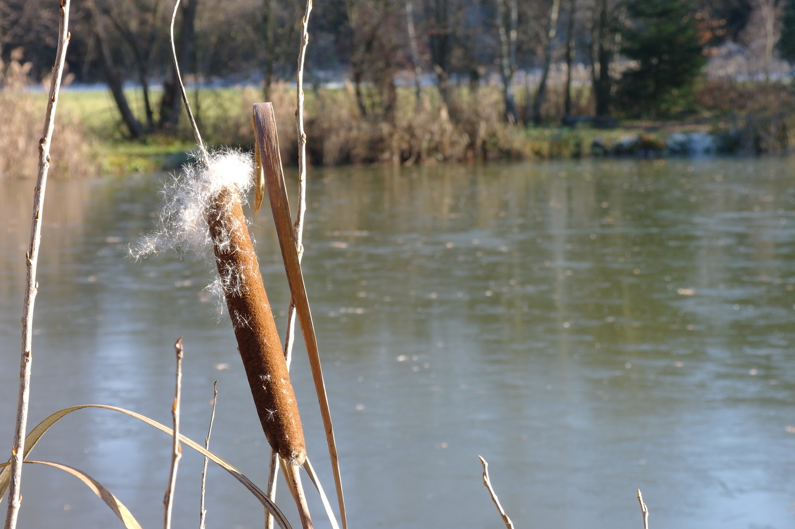 warten auf den Winter