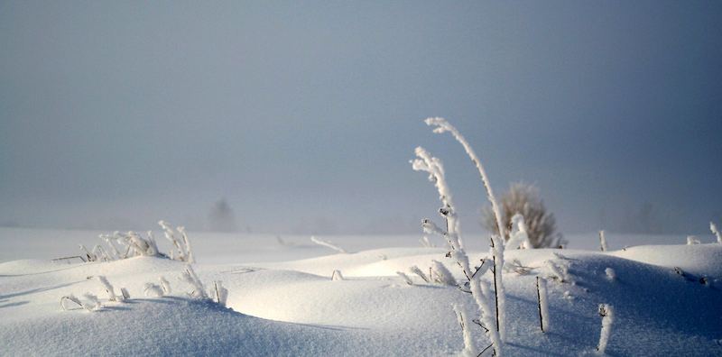 .. warten auf den Winter