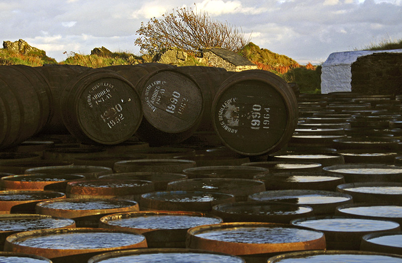 Warten auf die Abfüllung – Ardbeg Whiskyfässer, Islay