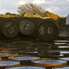 Warten auf die Abfüllung – Ardbeg Whiskyfässer, Islay