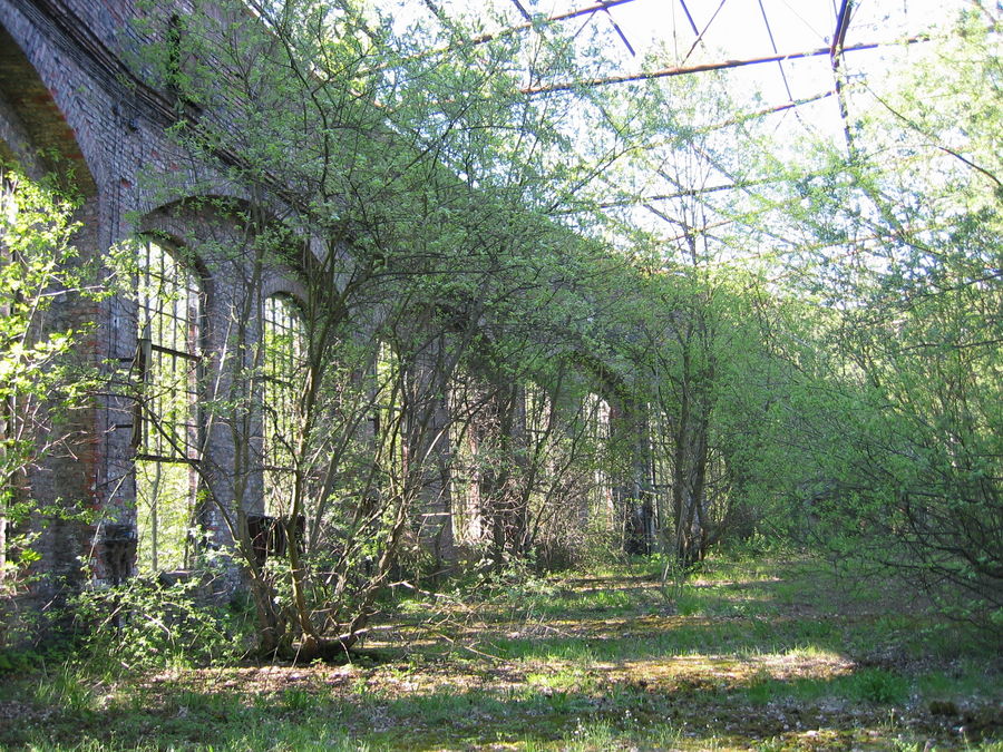 Warten auf die Abrissbirne II