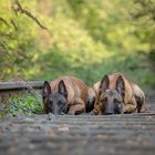 Warten auf die Bahn ....