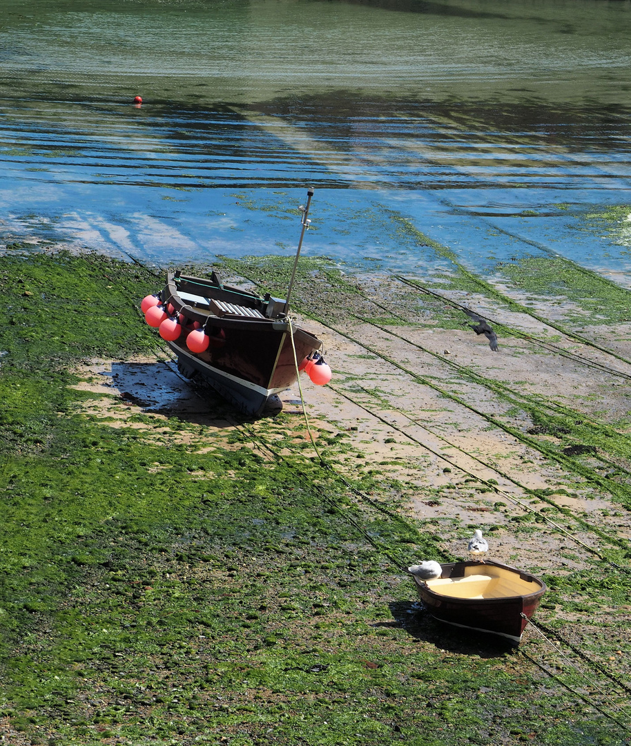 Warten auf die Flut... 