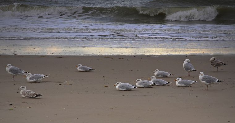 Warten auf die Flut... (2)