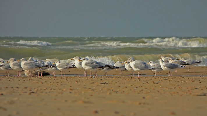 Warten auf die Flut...