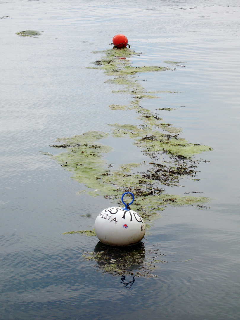 warten auf die Flut