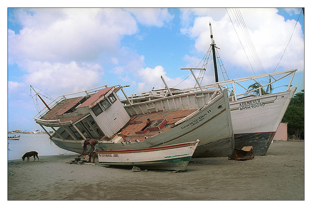 .::[warten auf die Flut]::.