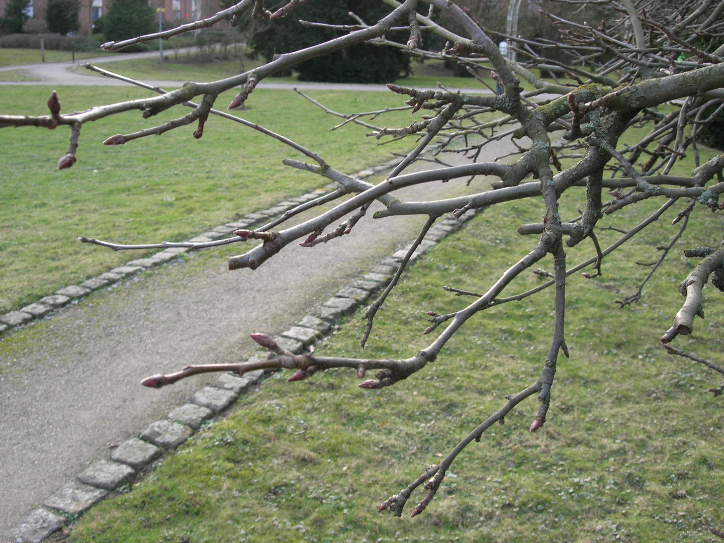 Warten auf die Frühlingssonne