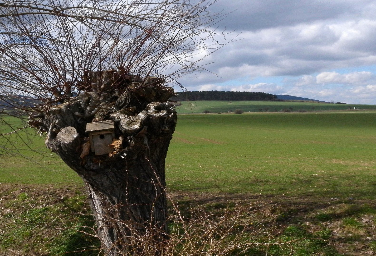 Warten auf die neuen Bewohner