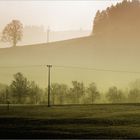 Warten auf die Sonne