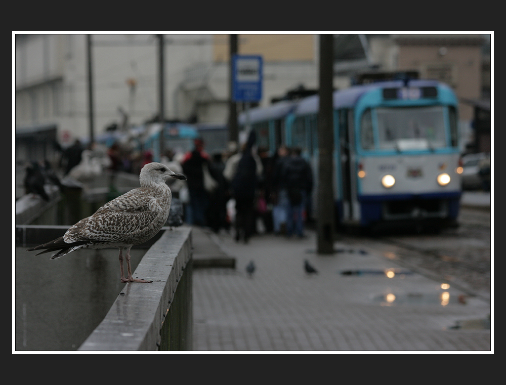 warten auf die strassenbahn