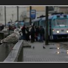 warten auf die strassenbahn