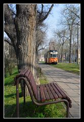 Warten auf die Straßenbahn