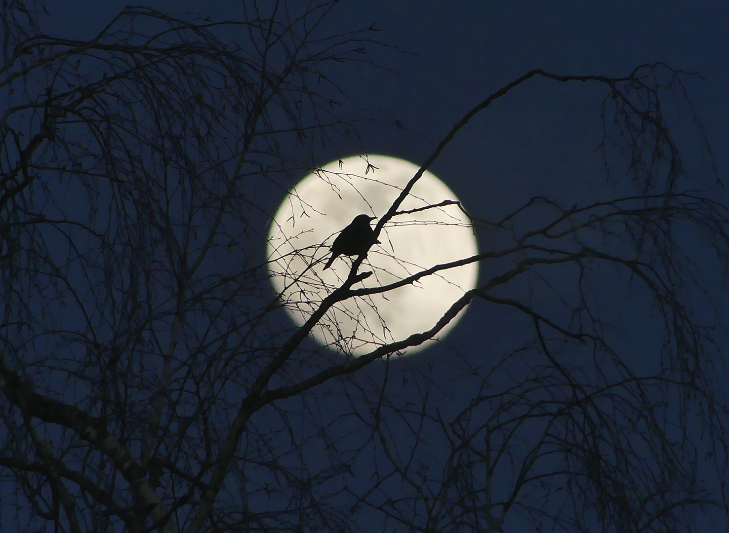 Warten auf die (Vollmond)Nacht