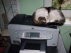 Warten auf ein Fax!