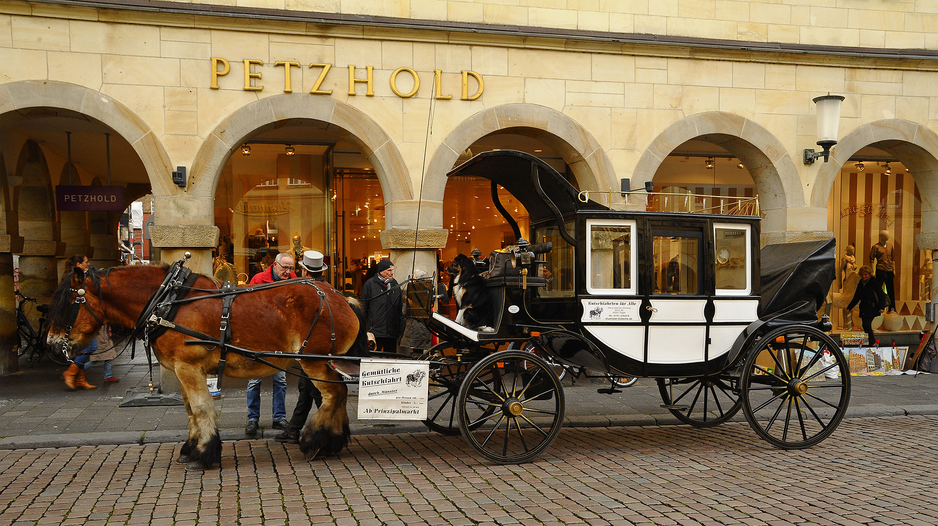 Warten auf eine Kutschenrunde in Münster am Prinzipalmarkt.