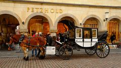 Warten auf eine Kutschenrunde in Münster am Prinzipalmarkt.