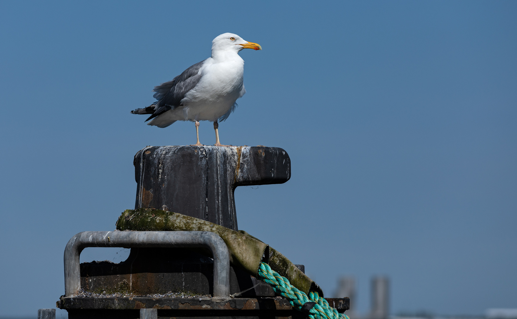 Warten auf einen Fischkutter