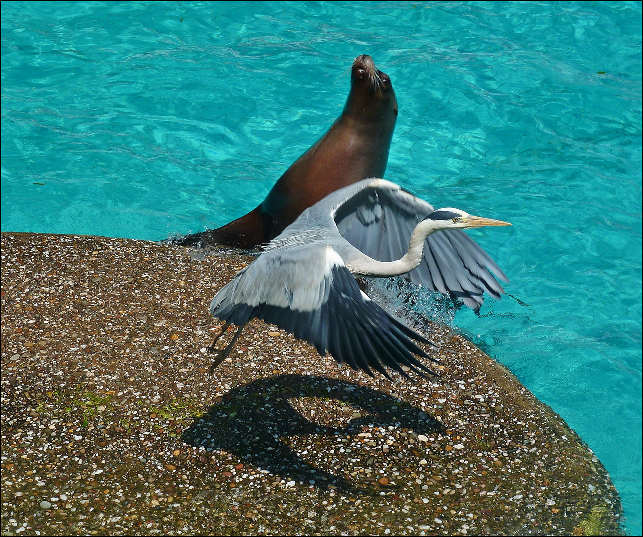 Warten auf Fische