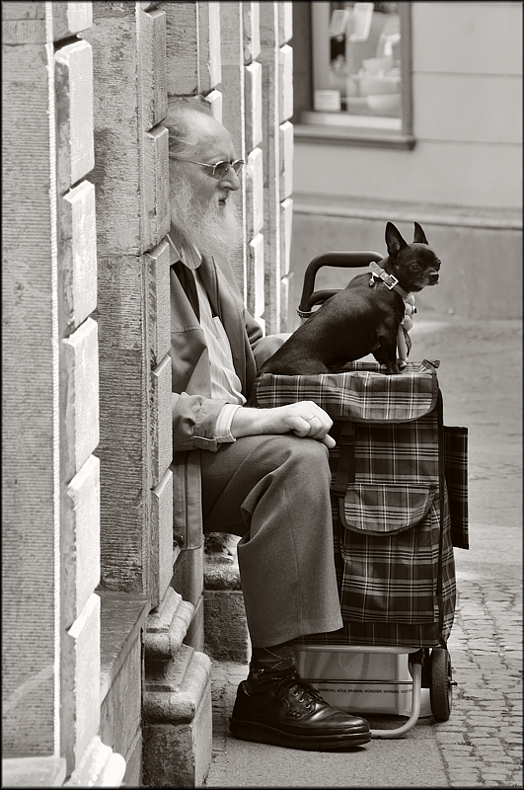 Warten auf Frauchen