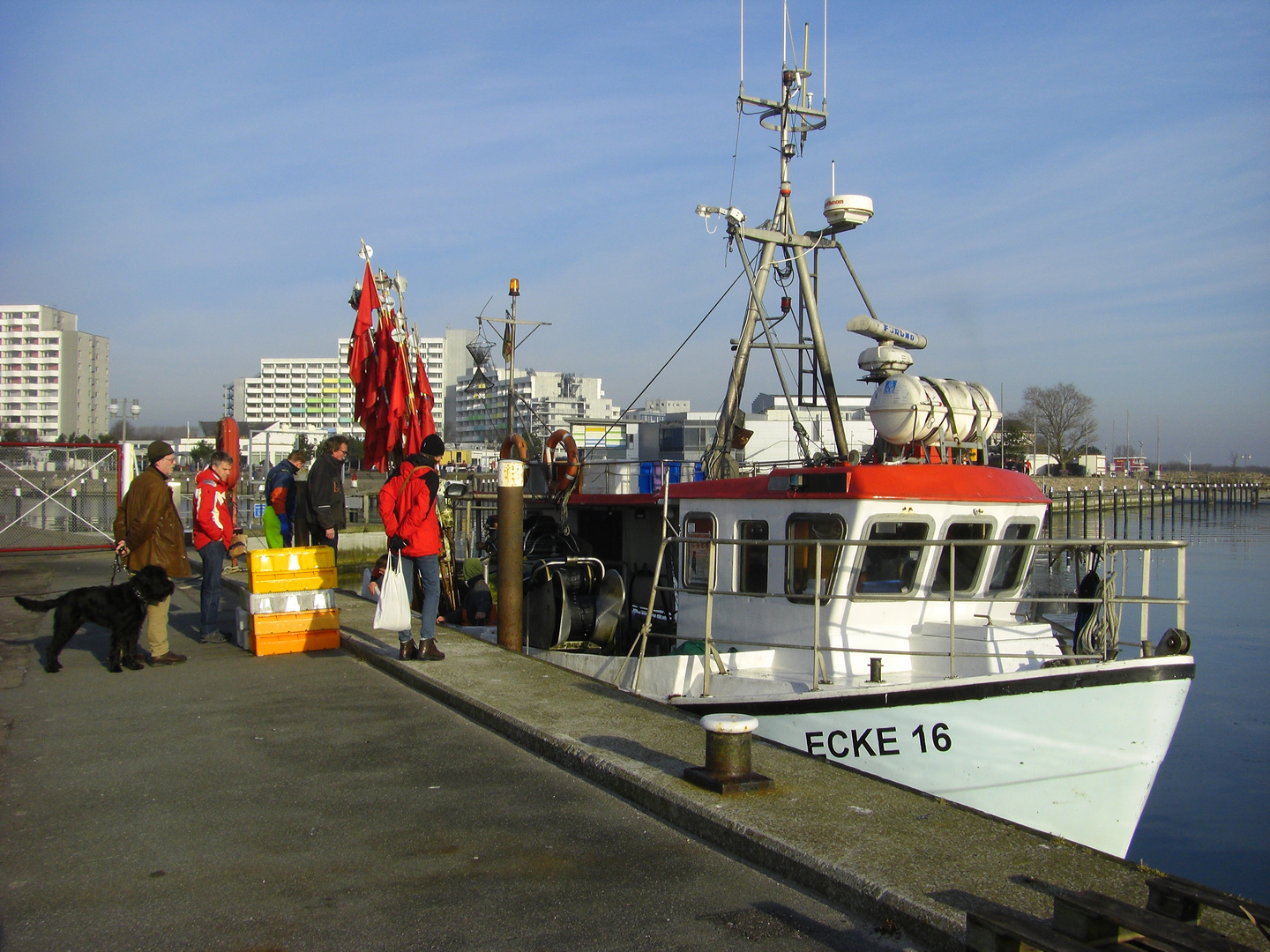 Warten auf frischen Fisch