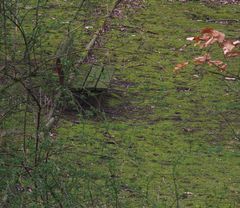 Warten auf Frühling