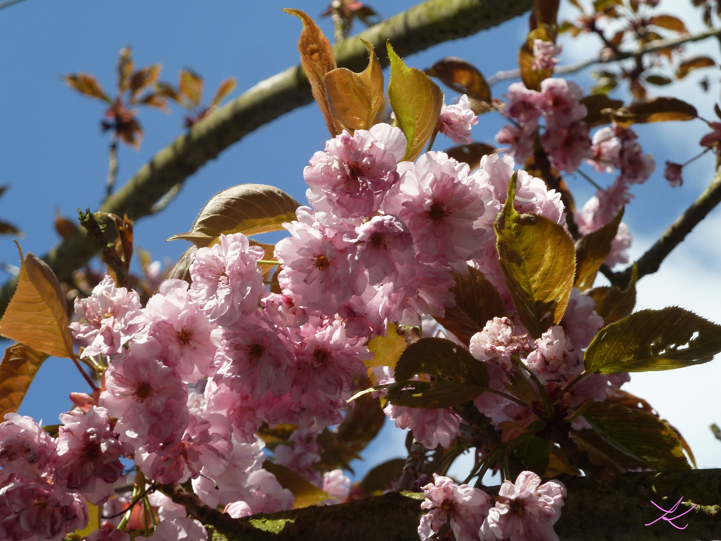 Warten auf Frühling