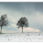 Warten auf Frühling!!