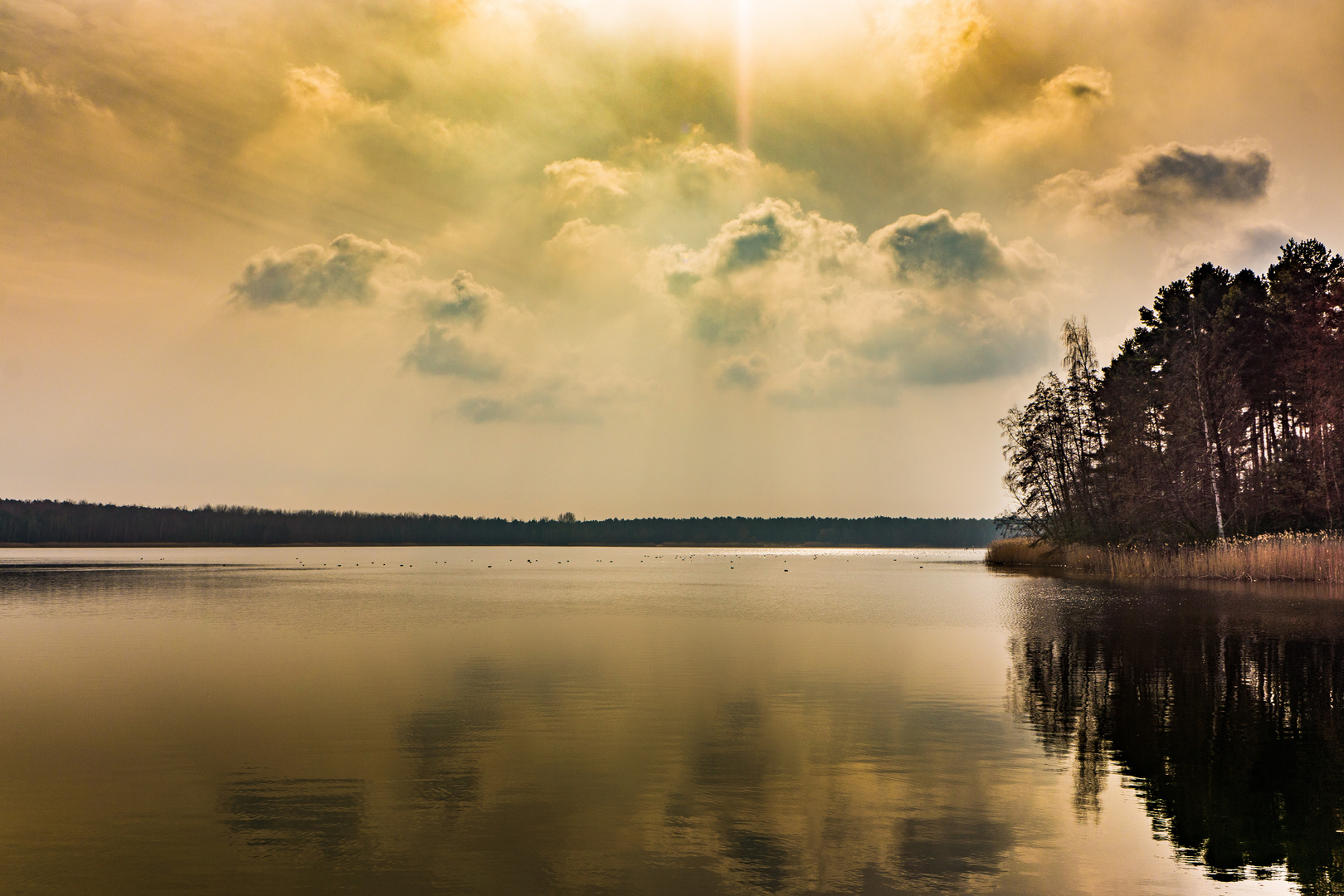 Warten auf Frühling -am See