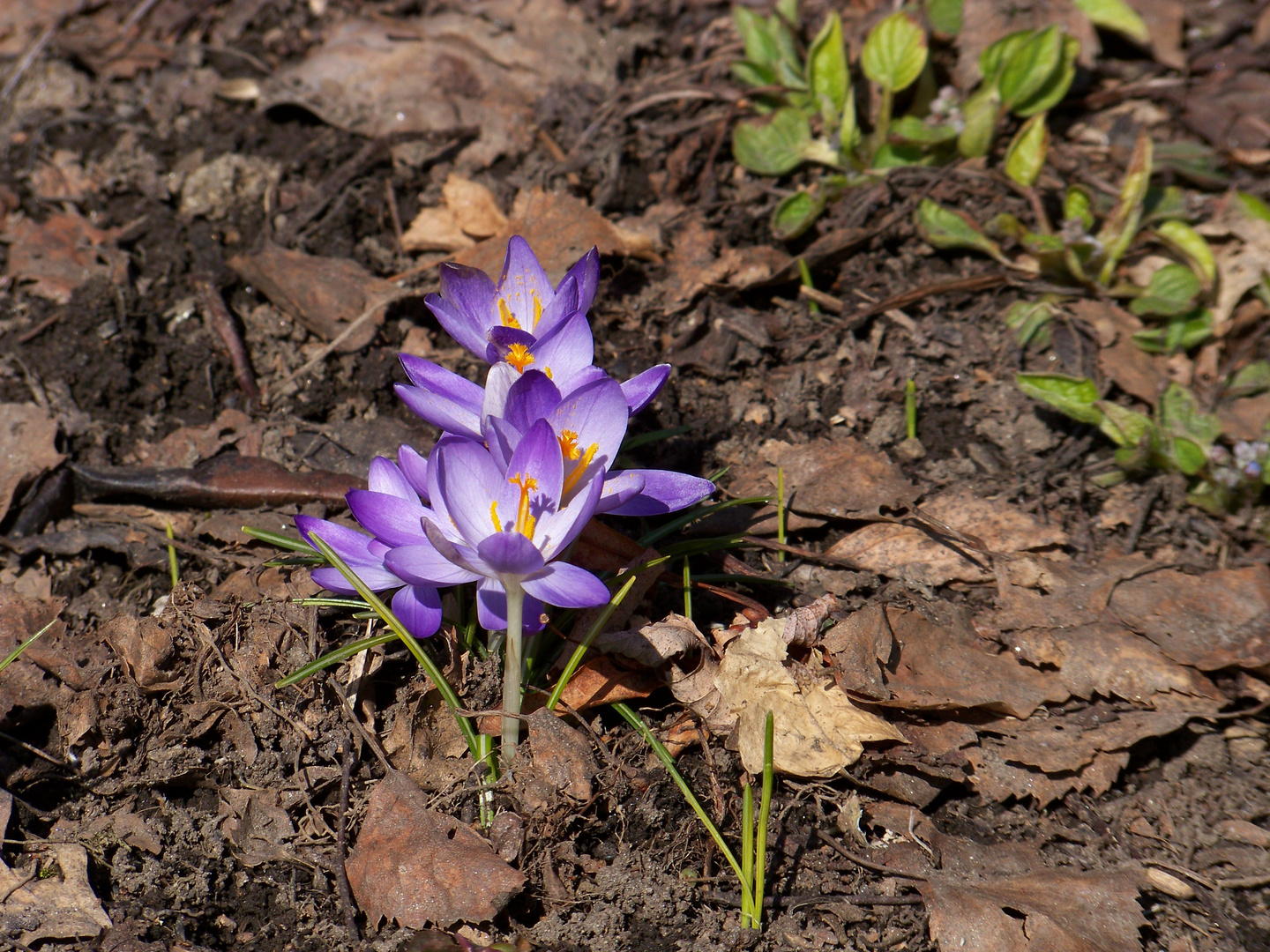 warten auf Frühling