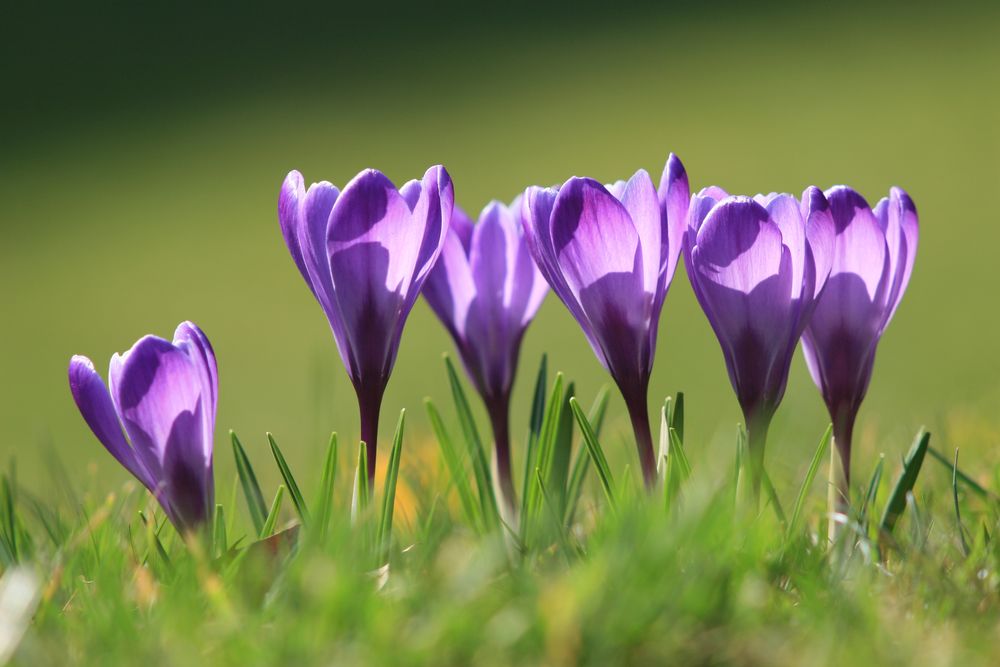 warten auf Frühling