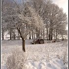 Warten auf Frühling