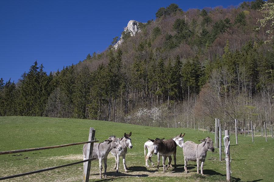 Warten auf Godod