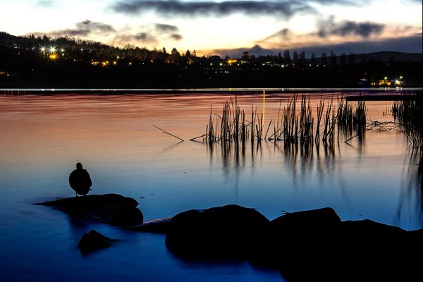 Warten auf Godot... Noch einmal  - Aspettando Godot ... Ancora una volta