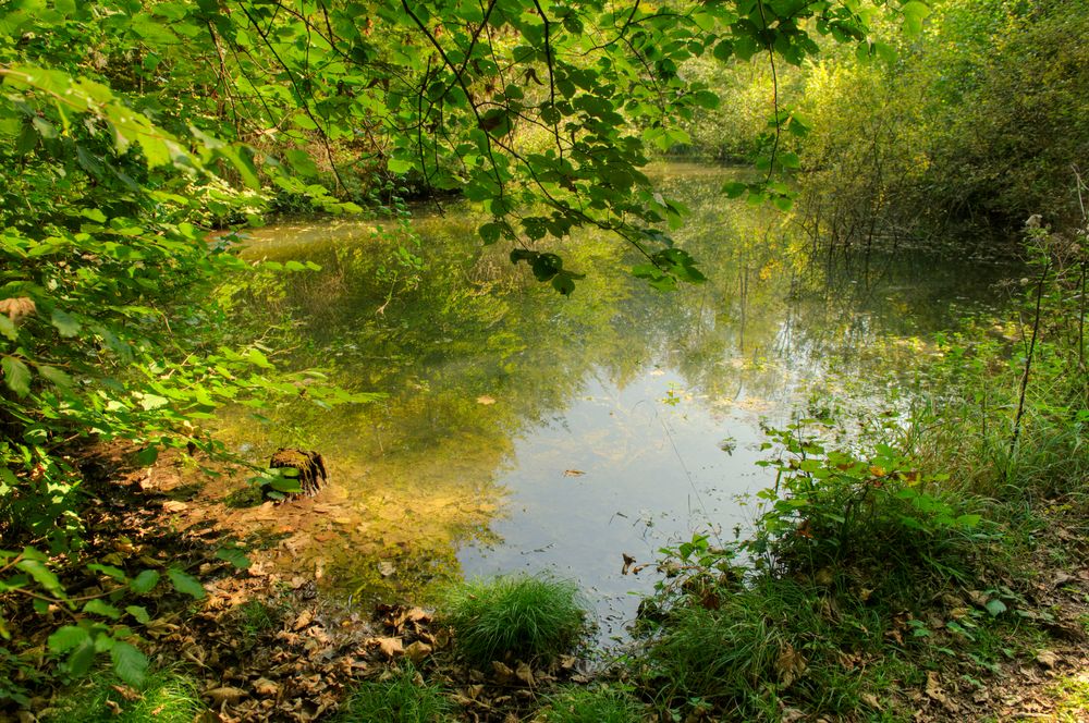 warten auf grün