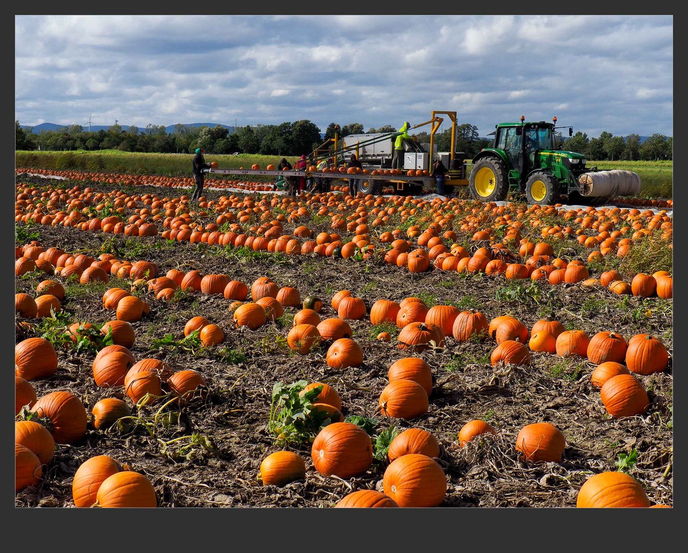 Warten auf Halloween