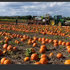 Warten auf Halloween