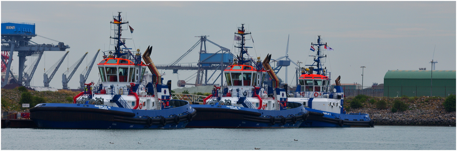 Warten auf Kundschaft. / Tugs / Rotterdam