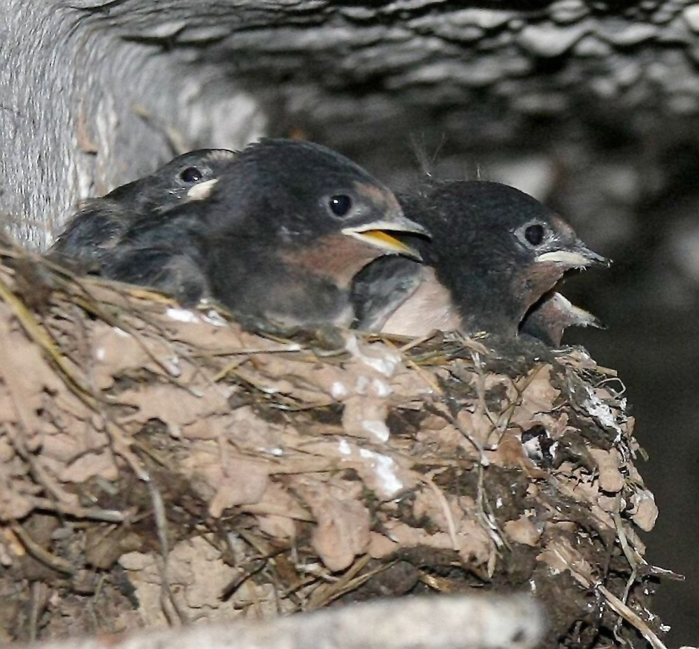 warten auf Mama