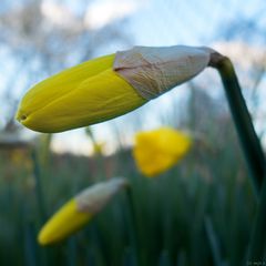 Warten auf Ostern